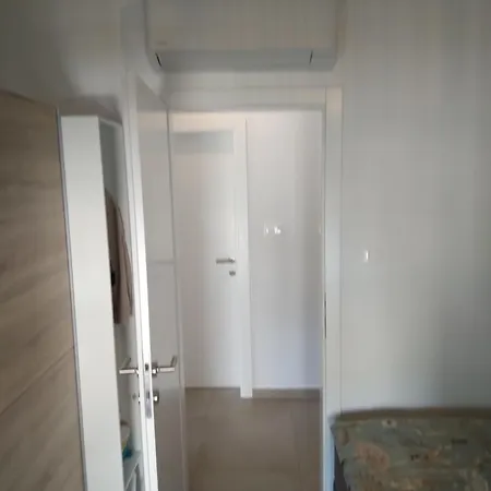 Casa Palm *